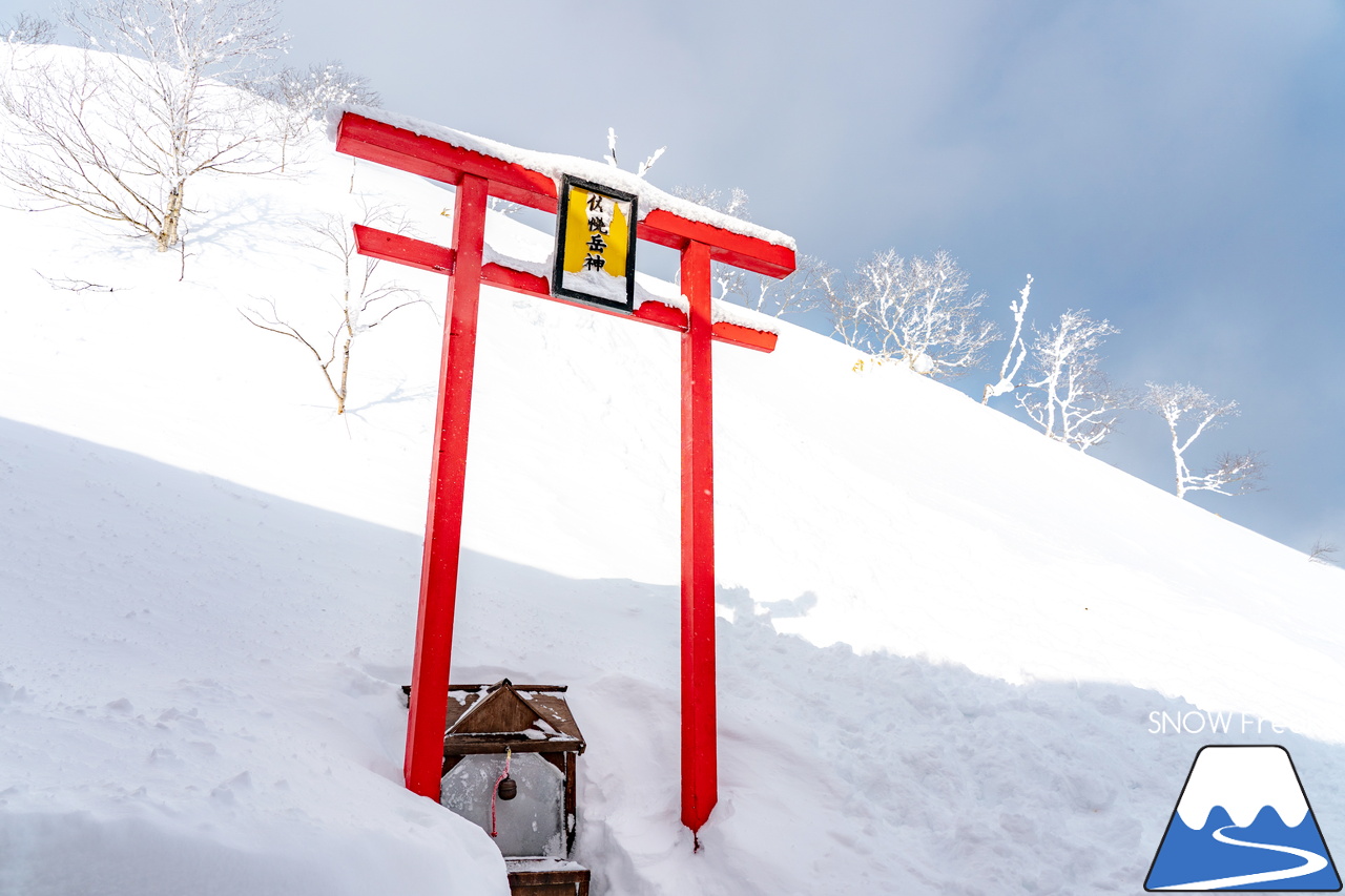 十勝サホロリゾート｜あの記録的な大雪から１週間…。ゲレンデのコンディションは、この上ないほど良好です(^^)v